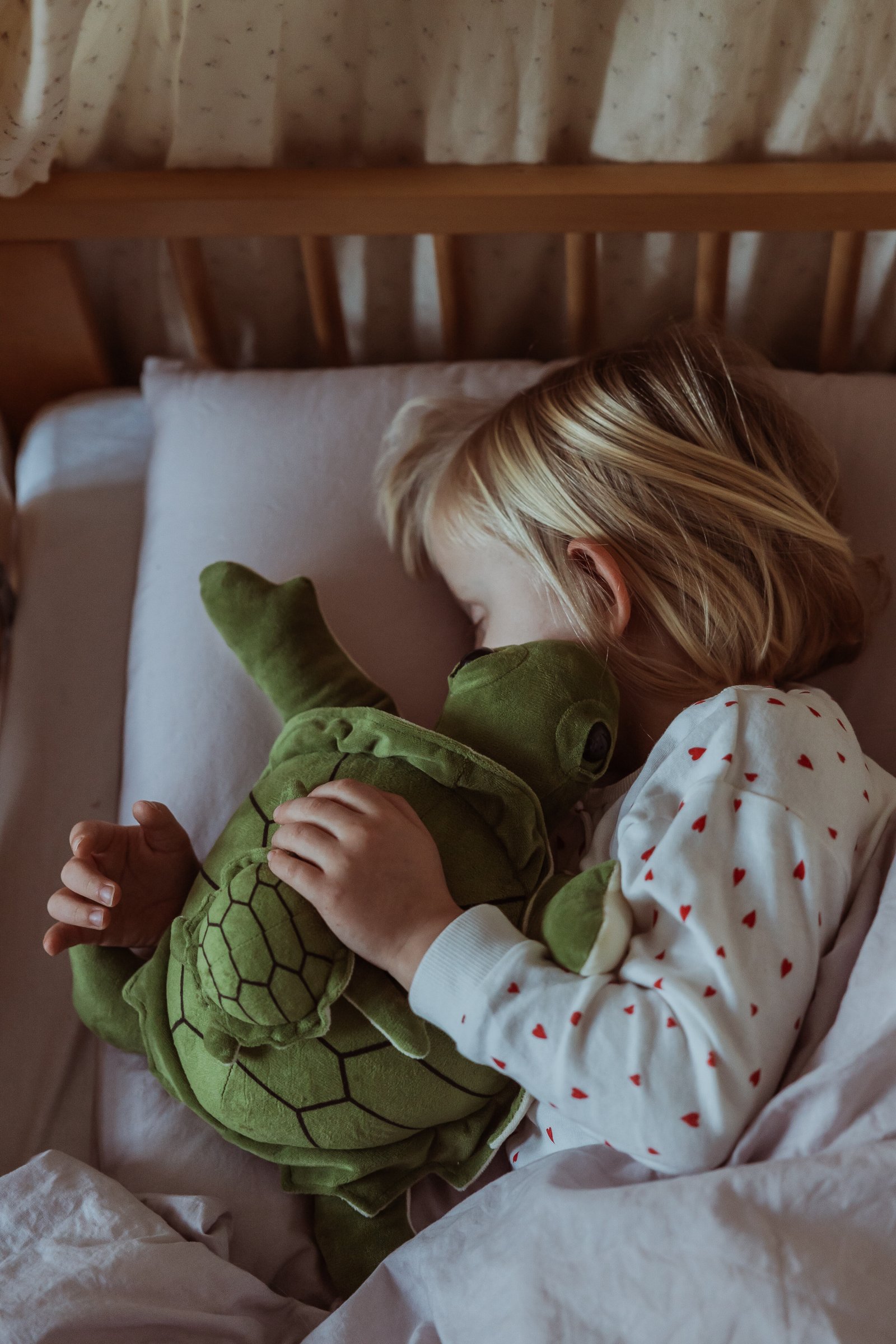 WEIGHTED TURTLE 1,6 KG